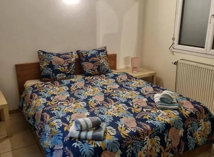 Les Cigognes De Andolsheim